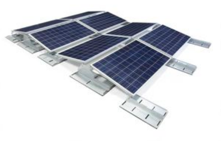 Polar Bear East/West